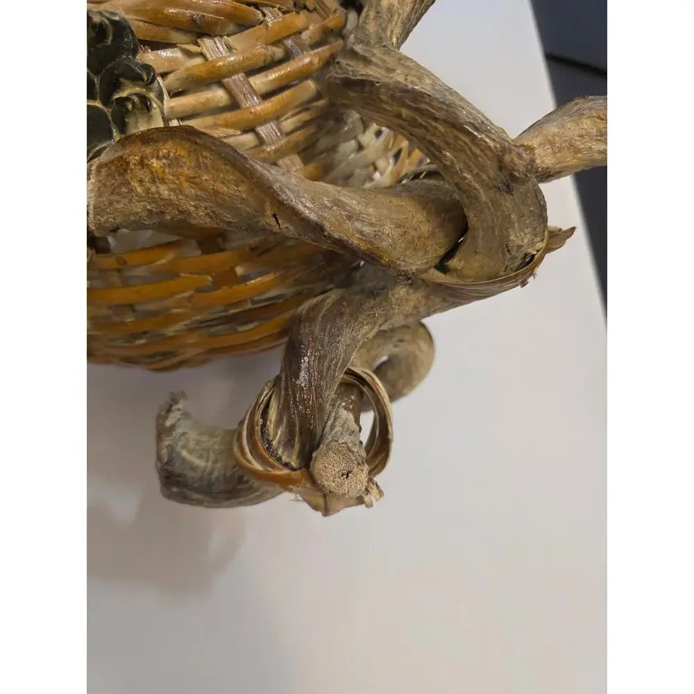 Handwoven Root Branches Rustic Sculpted Fruit & Leaves Basket Primitive Rustic